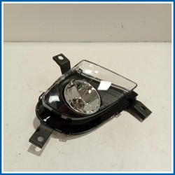 Fendinebbia Fari Antinebbia destra | dx. | ant. BMW Serie 3 E91 Touring