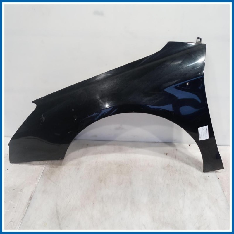 Parafango PARAFANGO ANT | sx. | ant. CITROEN C5 III SW