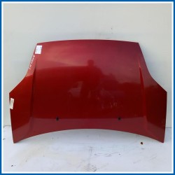 Cofano Hood Assy - Less Hinges | ant. FORD Fiesta V