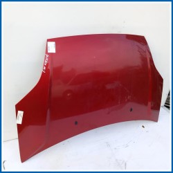 Cofano Hood Assy - Less Hinges | ant. FORD Fiesta V