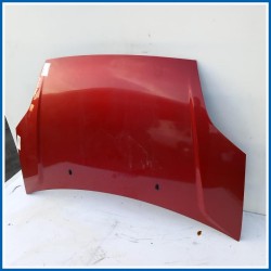 Cofano Hood Assy - Less Hinges | ant. FORD Fiesta V