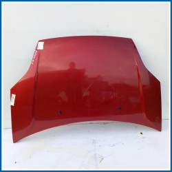 Cofano Hood Assy - Less Hinges | ant. FORD Fiesta V