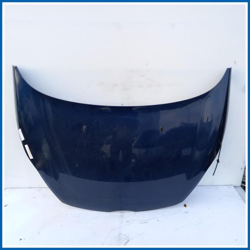 Cofano Hood Assy - Less Hinges | ant. FORD Fiesta VI