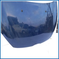 Cofano Hood Assy - Less Hinges | ant. FORD Fiesta VI