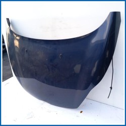 Cofano Hood Assy - Less Hinges | ant. FORD Fiesta VI