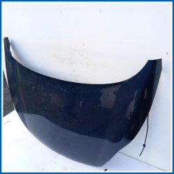 Cofano Hood Assy - Less Hinges | ant. FORD Fiesta VI