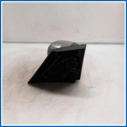 Retrovisore esterno CORPS RET.EXT G | sx. | ant. RENAULT Clio III