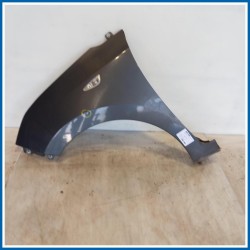 Parafango PANNELLO-PARAFANGHI, SX | sx. | ant. HYUNDAI i10 II