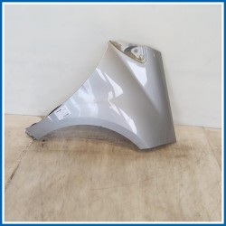 Parafango PARAFANGO LATO ANTERIORE | dx. | ant. MERCEDES Classe A W169