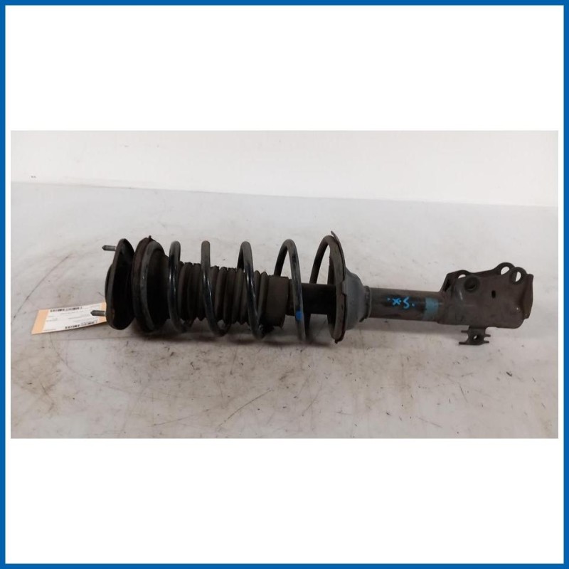 Ammortizzatore | sx. | ant. TOYOTA Yaris (France ) I