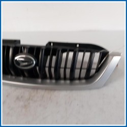 Griglia radiatore MASCHERINA J100 GREZZA DAIHATSU Terios I