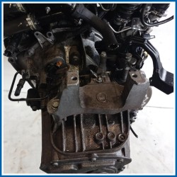 Cambio CAMBIO E DIFFERENZ. LANCIA Phedra