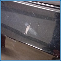 Porta . | sx. | post. VOLKSWAGEN Polo VI