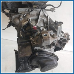 Cambio FORD Focus II
