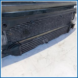 Rivestimento frontale ant. MINI MINI (R56) (08/06>08/10