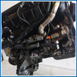 Motore semicompleto FORD Fiesta VI