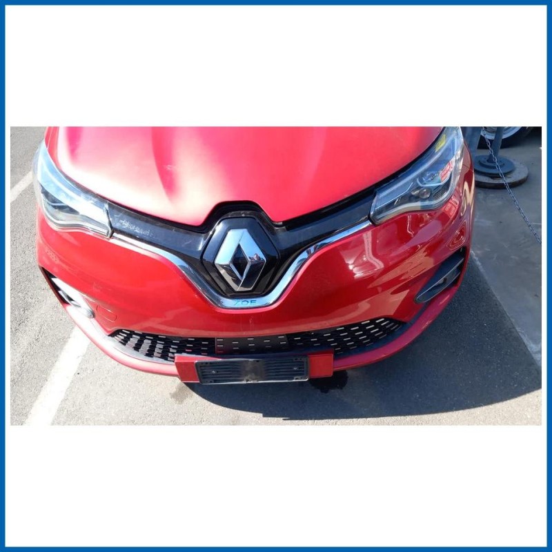 651004516R RENAULT Zoe