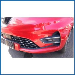 651004516R RENAULT Zoe