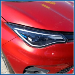 651004516R RENAULT Zoe