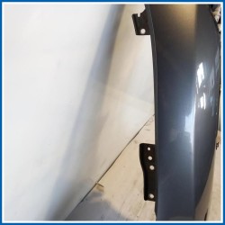 Parafango ant. dx. NISSAN Juke I