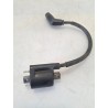 Bobina Yamaha Xenter Xenter 125 