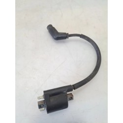 Bobina Yamaha Xenter Xenter 125 