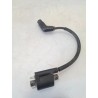 Bobina Yamaha Xenter Xenter 125 