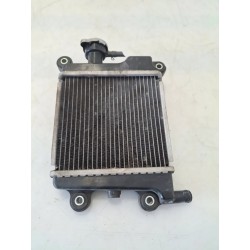 Radiatore Yamaha Xenter Xenter 125 