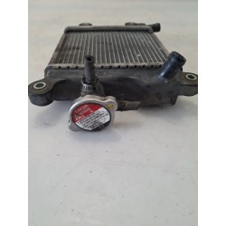 Radiatore Yamaha Xenter Xenter 125 