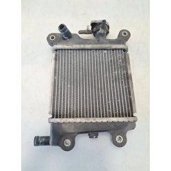Radiatore Yamaha Xenter Xenter 125 