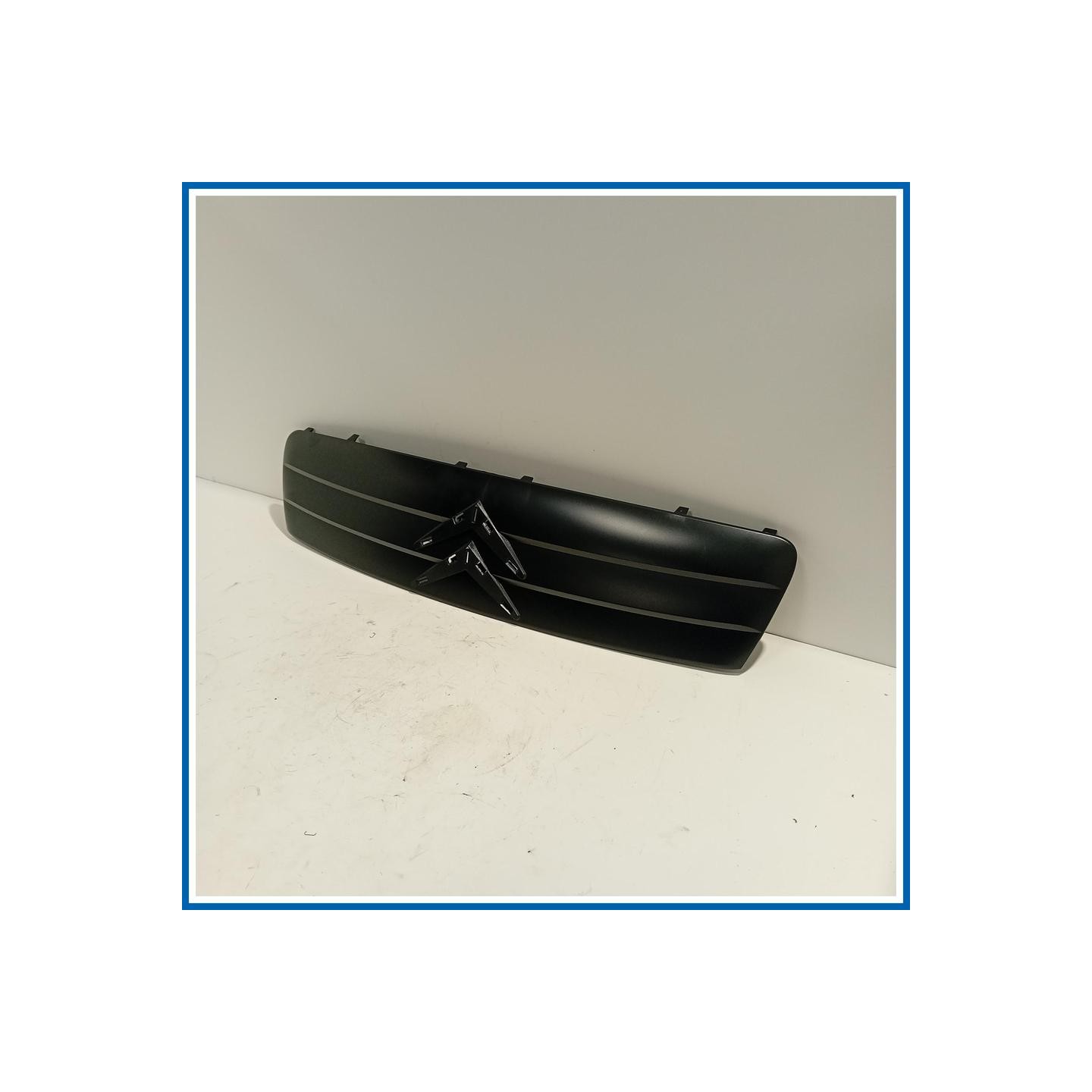 Griglia radiatore CITROEN C2