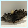 Proiettore ant. sx. MERCEDES Classe A W169