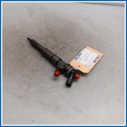 Iniettore (revisionato) BMW Serie 3 E91 Touring