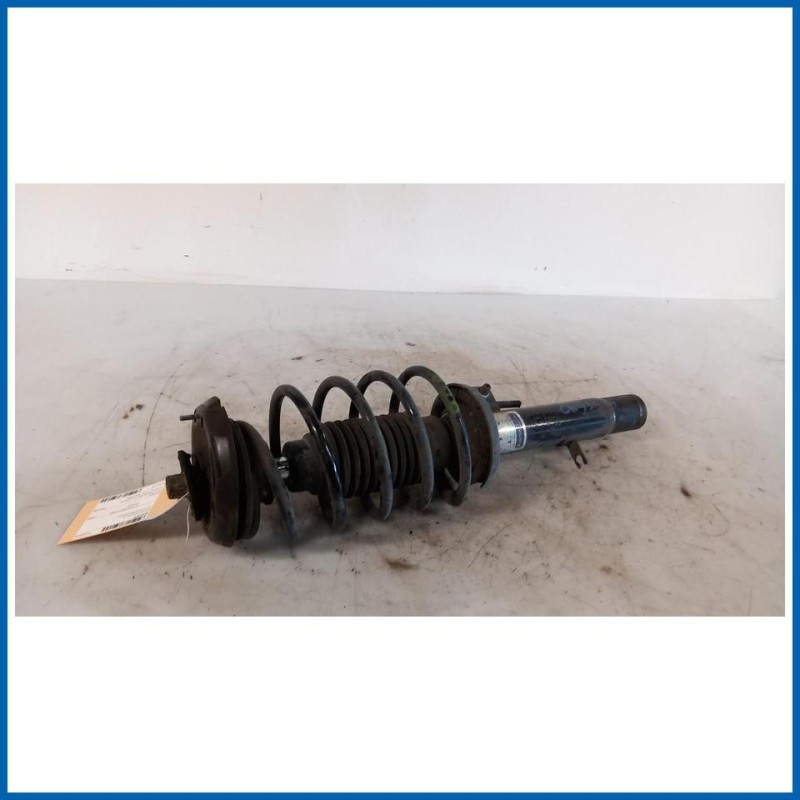 Ammortizzatore ant. sx. CITROEN C3 I