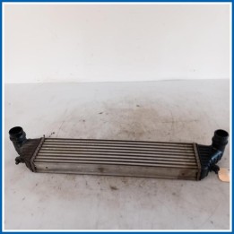 Intercooler FIAT Tipo II