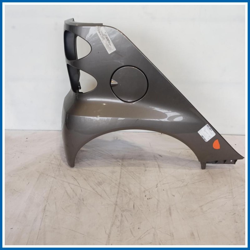 Parafango PARAFANGO LATO POSTERIORE | dx. | post. SMART Fortwo Coupé 451