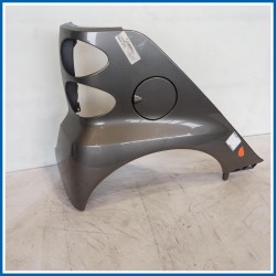 Parafango PARAFANGO LATO POSTERIORE | dx. | post. SMART Fortwo Coupé 451