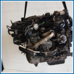 Motore semicompleto FORD Ecosport