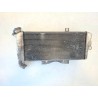 Radiatore Kawasaki ER-6N (12-16) ER-6N 25Kw 