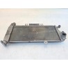 Radiatore Kawasaki ER-6N (12-16) ER-6N 25Kw 