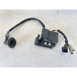 Centralina accensione Aprilia Scarabeo 50 2T (93-97) Scarabeo 50 2T 