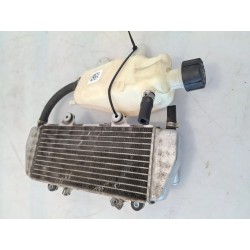 Radiatore Piaggio MP3 300 (14-21) MP3 300 hpe ABS 