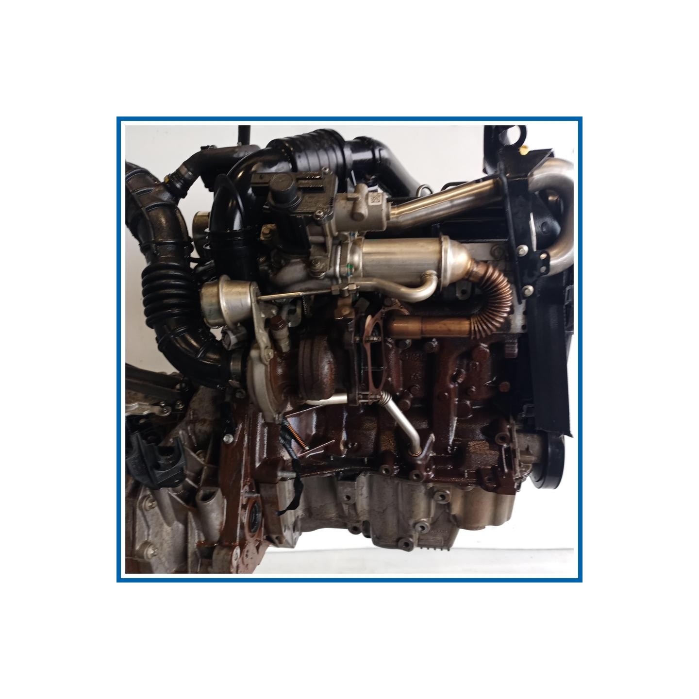 Motore completo RENAULT Modus