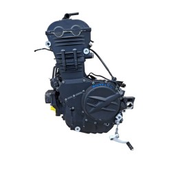 Motore completo Bmw F 800 R (217) (E3) (09-15) F 800 R 