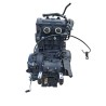 Motore completo Bmw F 800 R (217) (E3) (09-15) F 800 R 