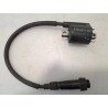 Bobina Yamaha Tricity 300 Tricity 300 (E5) 