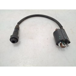 Bobina Yamaha Tricity 300 Tricity 300 (E5) 