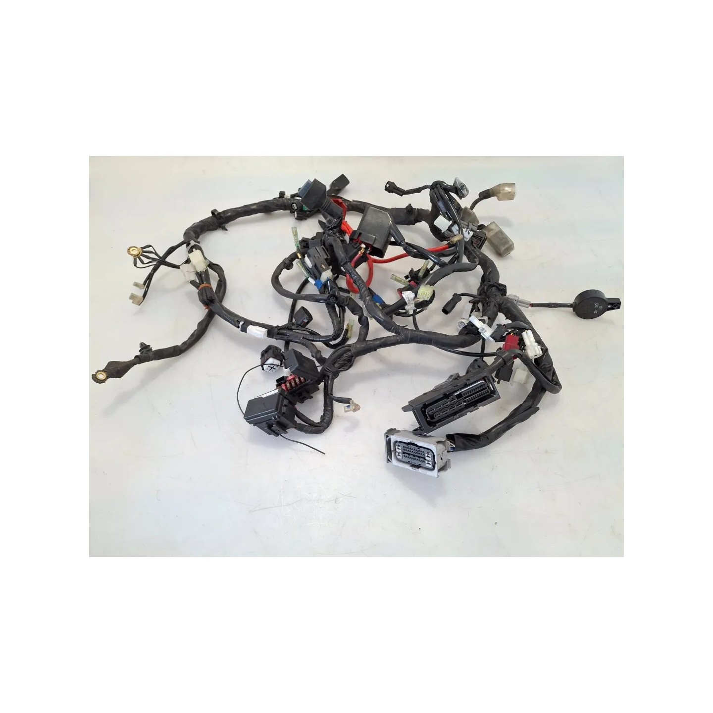 Cablaggio impianto elettrico telaio Yamaha Tricity 300 Tricity 300 (E5) 
