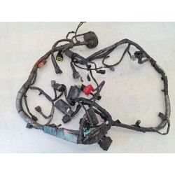 Cablaggio impianto elettrico telaio Kawasaki Z 125 (E4) Z 125 