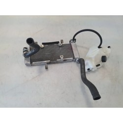 Radiatore Kawasaki Z 125 (E4) Z 125 